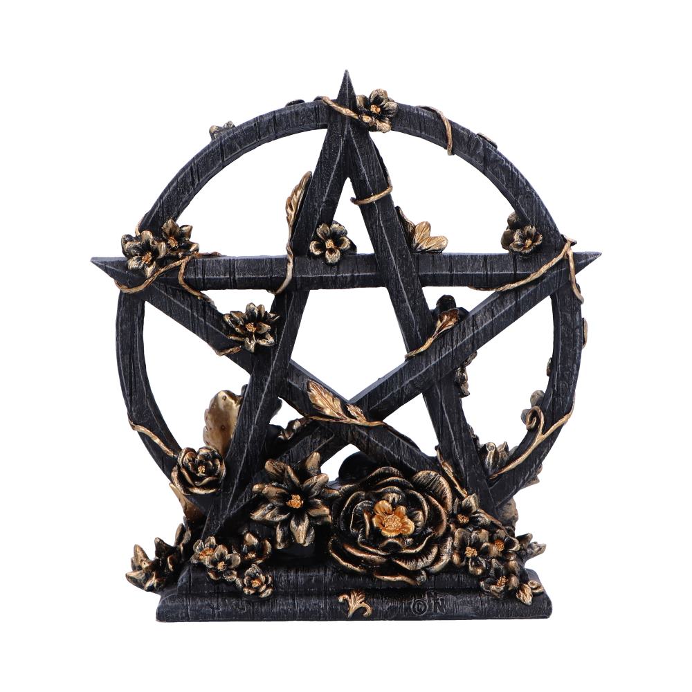 Floral Pentagram 16.5cm