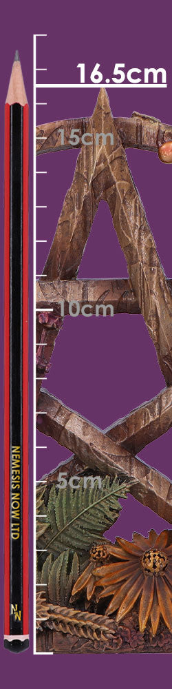 Season Of The Pentagram Litha (Summer) 16.5CM