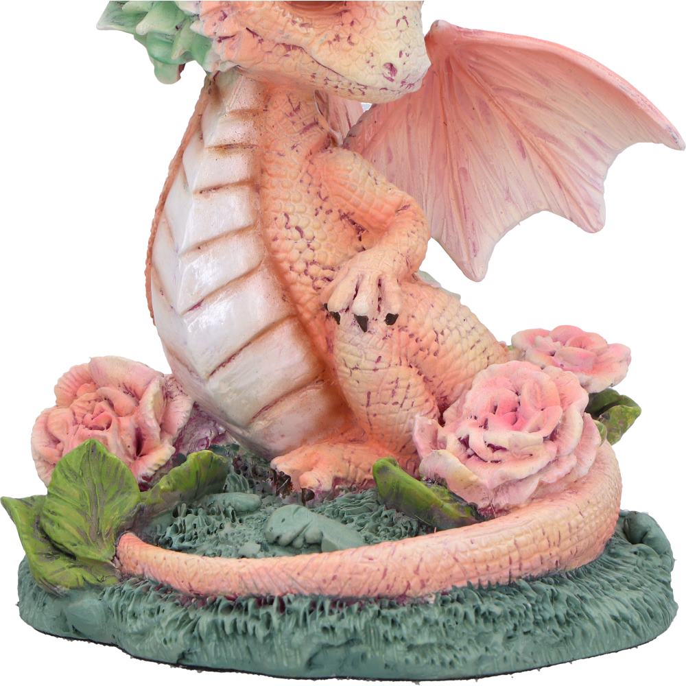 Carnation Flower Dragon