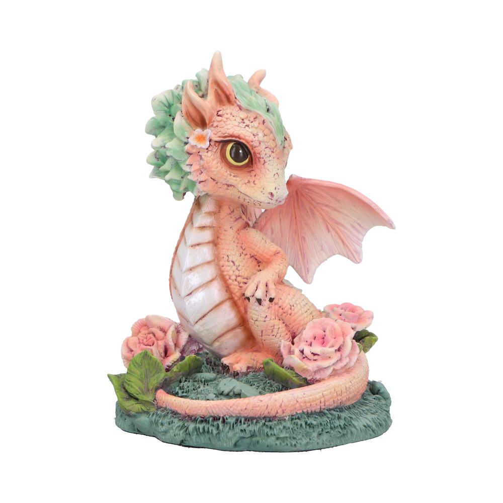 Carnation Flower Dragon