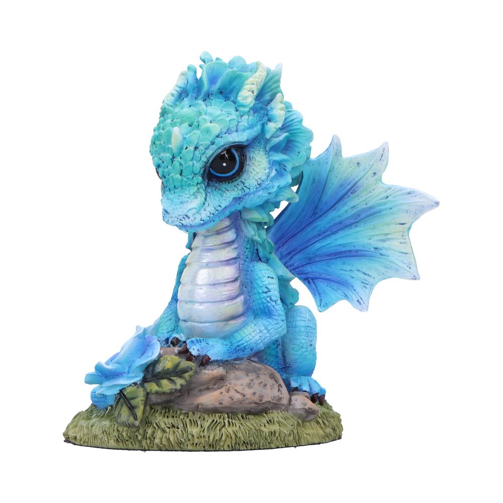 Blue Poppy Flower Dragon