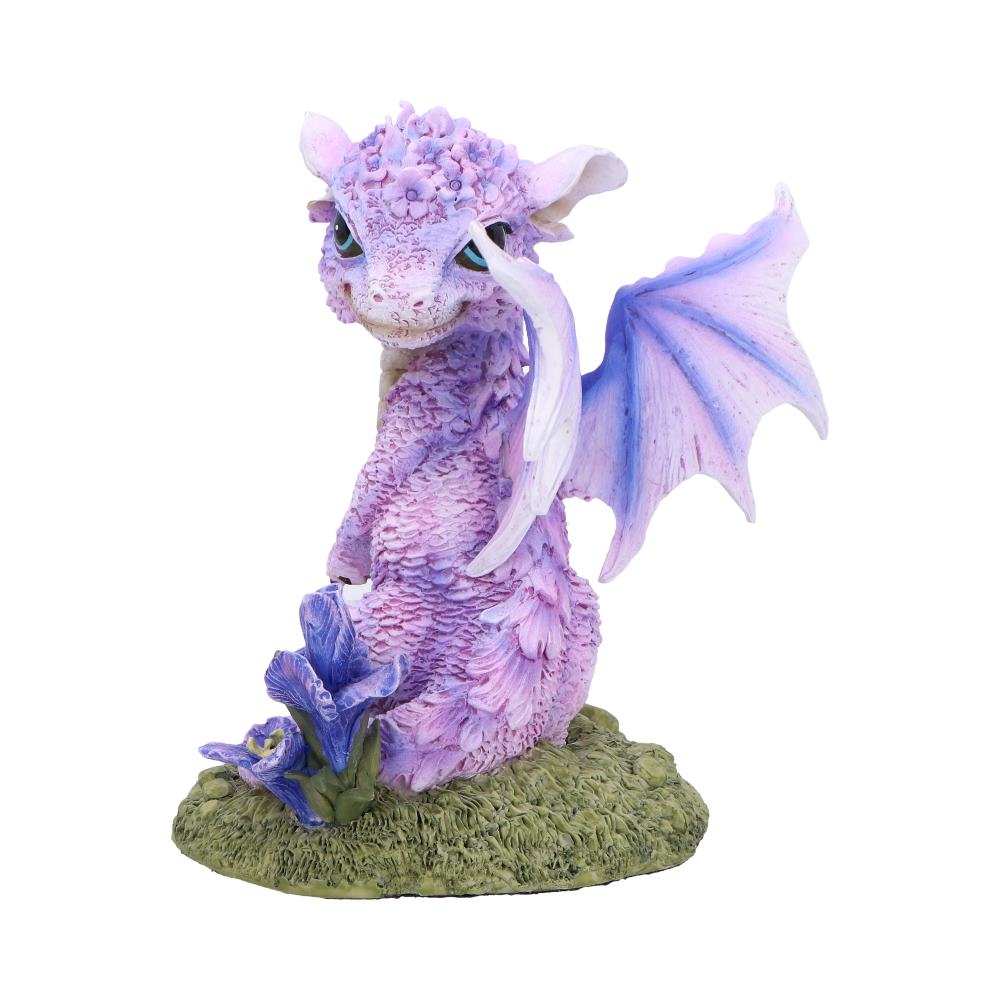 Iris Flower Dragon