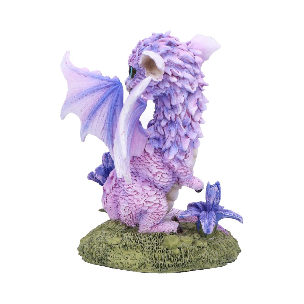 Iris Flower Dragon