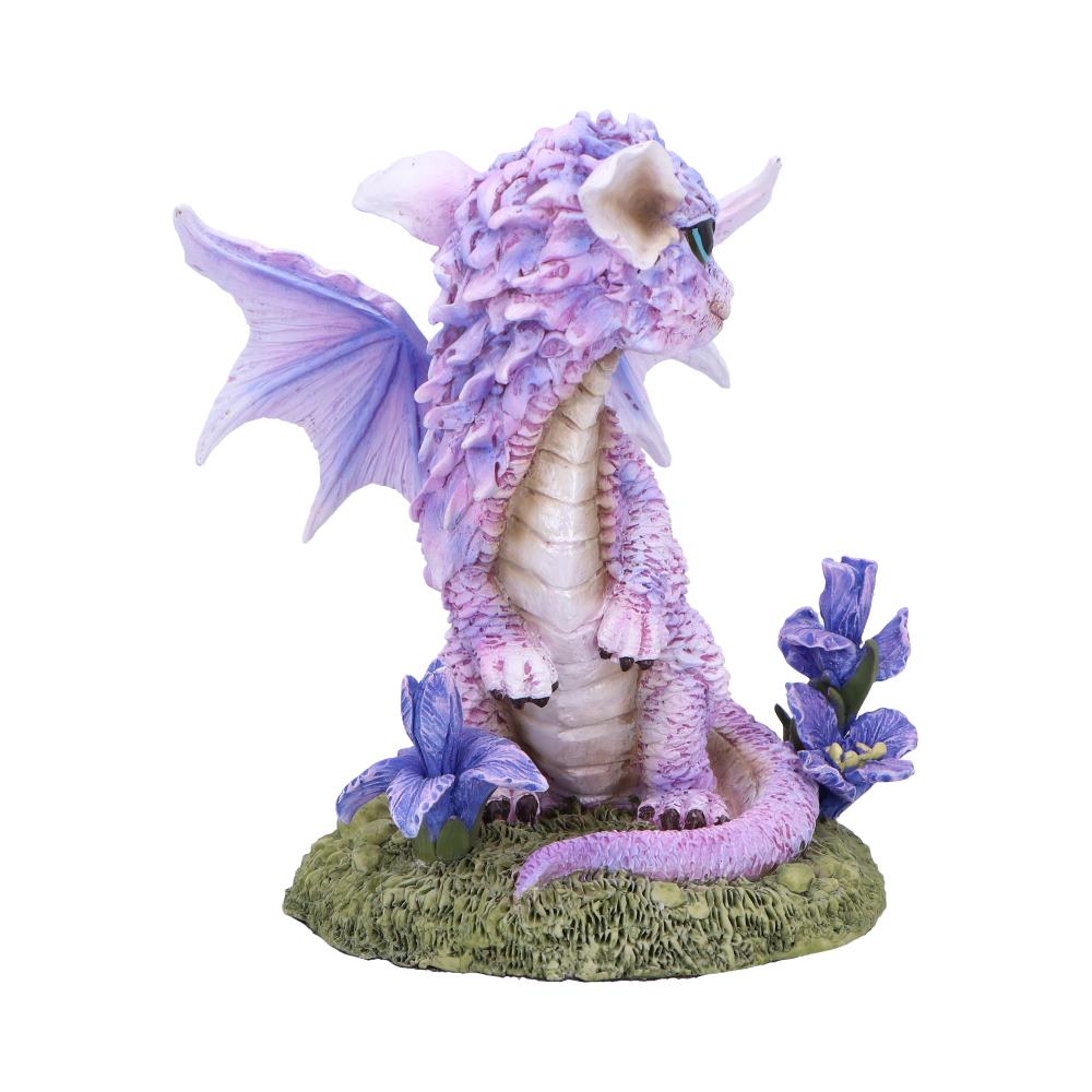 Iris Flower Dragon
