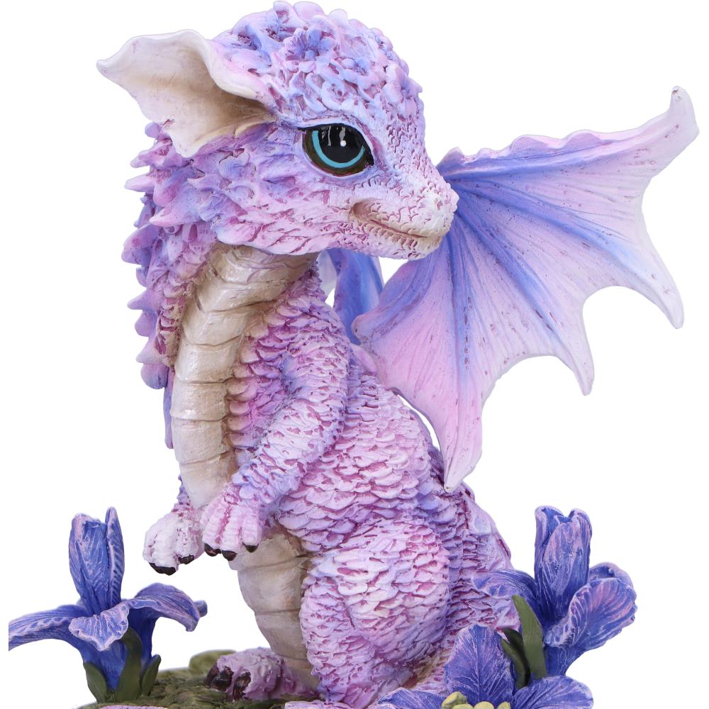 Iris Flower Dragon