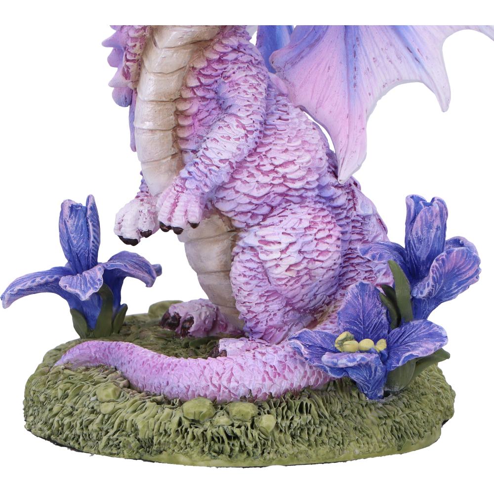 Iris Flower Dragon