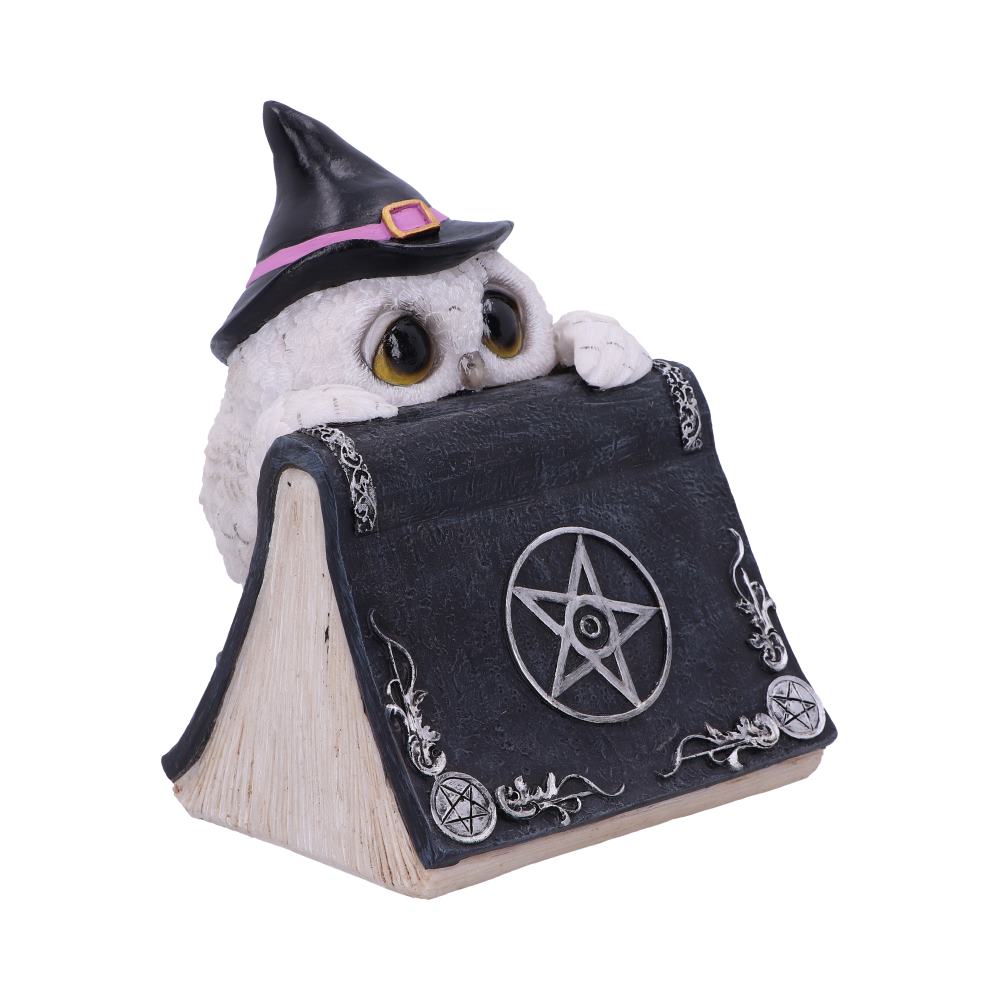 Owl's Spell 15CM