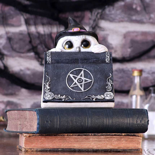 Owl's Spell 15CM