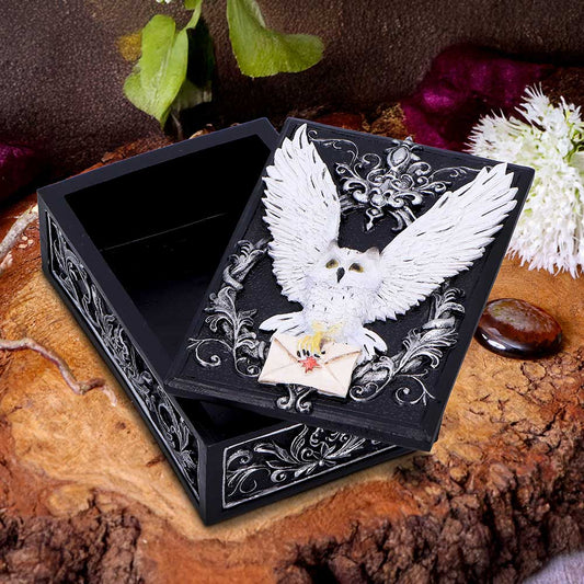 Owl Messenger Trinket Box