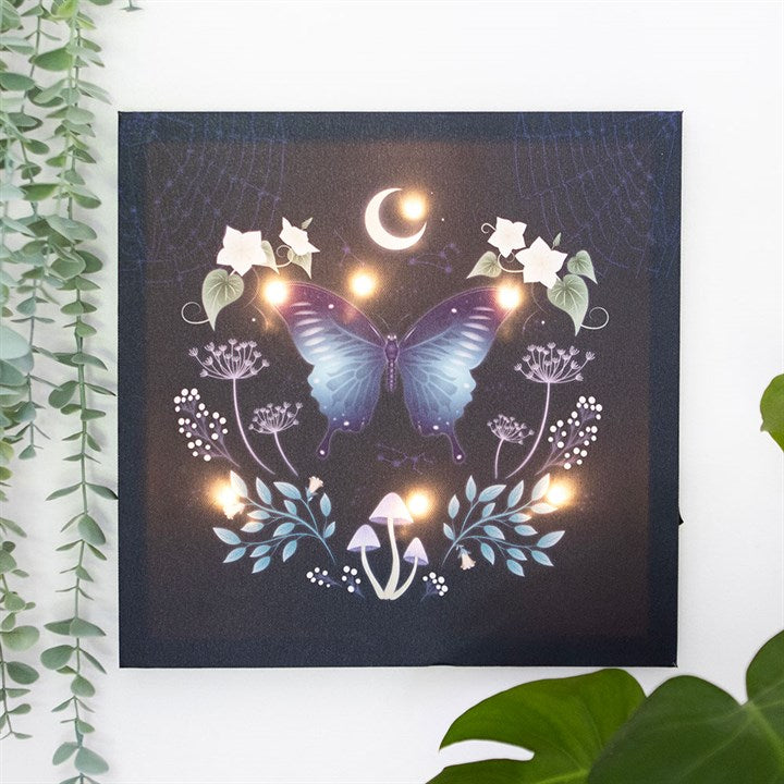 Midnight Moth Light Up Canvas Plaque