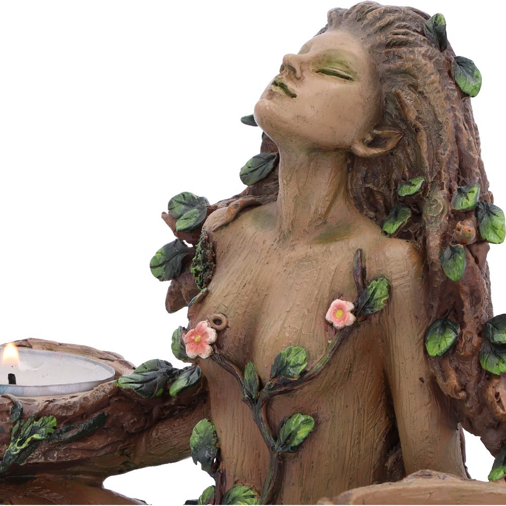 Balance of Nature 19cm