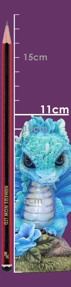 Blue Poppy Flower Dragon