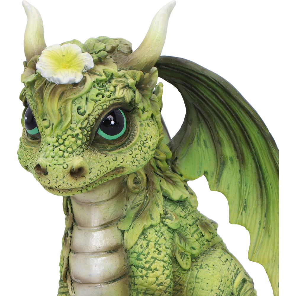 Freesia Flower Dragon