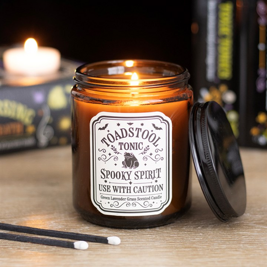 Toadstool Tonic Lavender Grass Candle